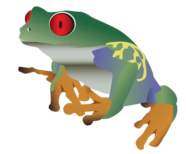 Κόκκινα μάτια πολύχρωμο βάτραχος — Διανυσματικό Αρχείο
