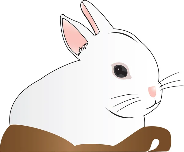 Illustrato Disegno Linee Coniglio Bianco Cesto Marrone Isolato Uno Sfondo — Vettoriale Stock