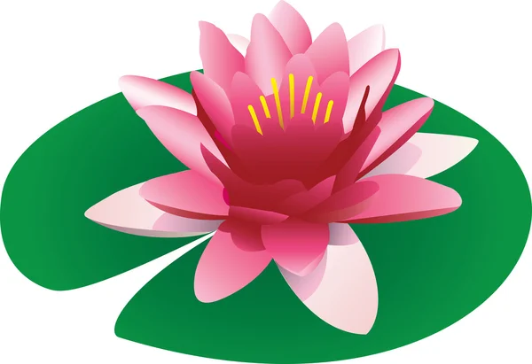 lily pad flower cartoon