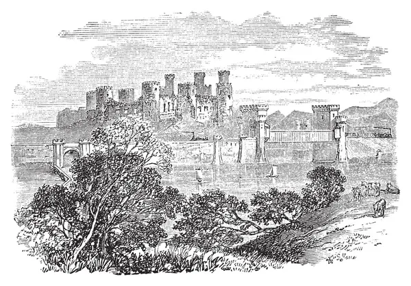 Castillo de Aberconway, ahora conocido como Castillo de Conway, en el norte coas — Archivo Imágenes Vectoriales