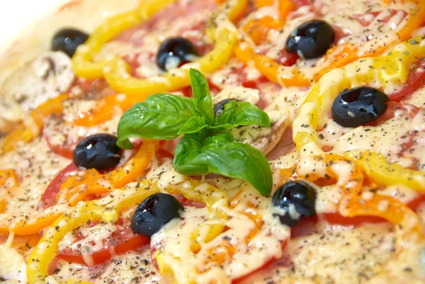 Pizza Cheese Peper Tomato Olives — Stock Photo, Image