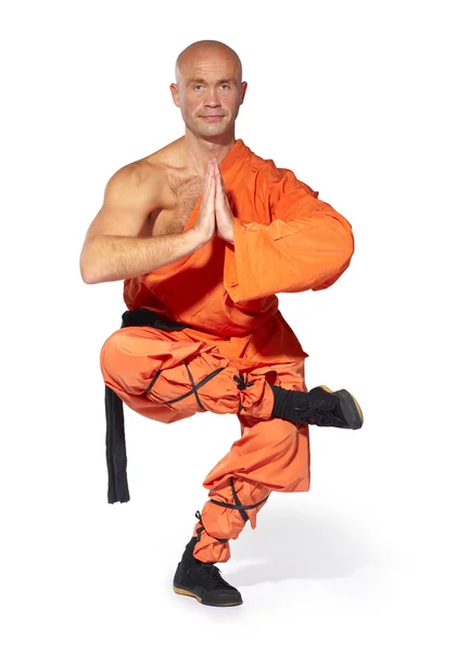 Shaolin warrior keşiş — Stok fotoğraf