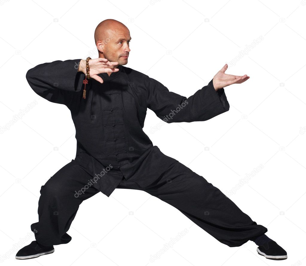 Master of tai-chi — Stock Photo © vfoto #4692060