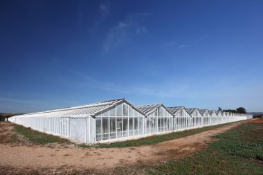 Large greenhouses structures clipart