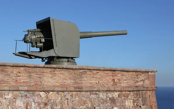 Artillery gun on ground aiming at the sea
