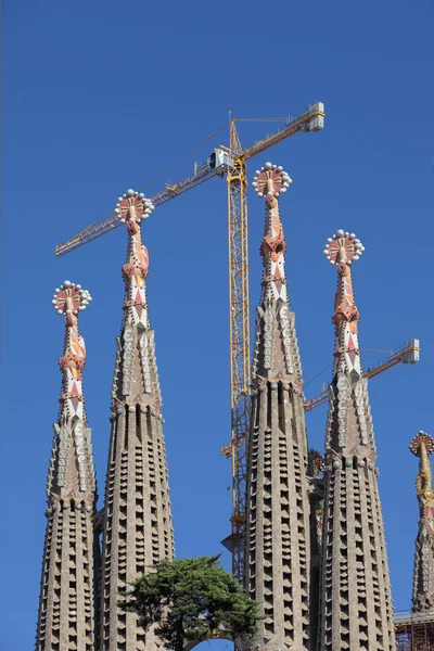 Cranes around unfinished Sagrada Familia cathedral in Barcelona — Stock Photo, Image