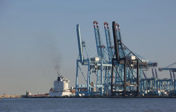 Cranes in harbor — Stock Photo, Image