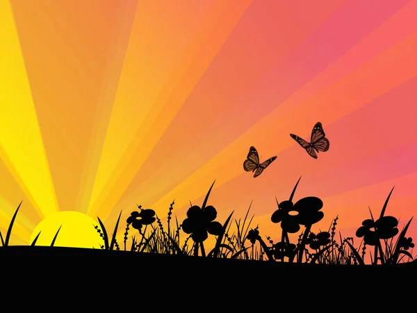 Paysage Coucher Soleil Avec Silhouette Papillon Fleurs Photo De Stock