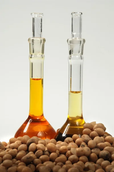Ethanol Oil Fuel Produce Soy Seeds — Stock Photo, Image
