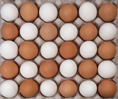 Alernative white and brown eggs than a checkerboard clipart