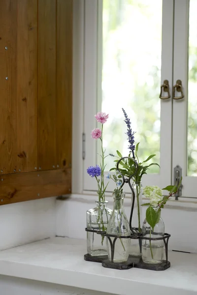 Kavanozlar üstünde pencere pervazına çiçek — Stok fotoğraf