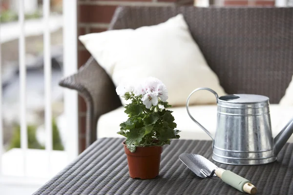 Potted Plant Shovel Watering Can Tabletop — Stock Photo, Image