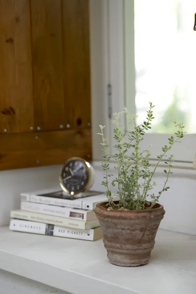 Stapel boeken met klok en ingemaakte plant op de vensterbank Rechtenvrije Stockafbeeldingen
