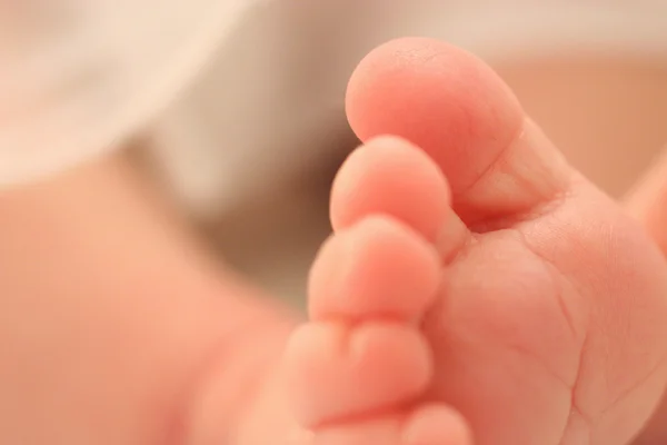Baby's tiny toes — Stock Photo, Image