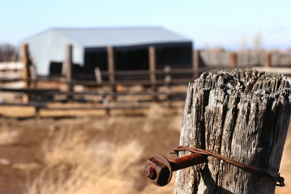 Clavo oxidado en poste de valla de madera —  Fotos de Stock