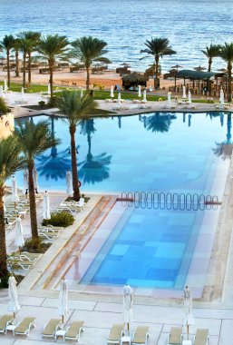 Deniz Manzaralı Yüzme Havuzu, palmiye ağacı ve Mısır otel yer bakın