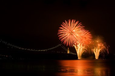 River Fireworks clipart