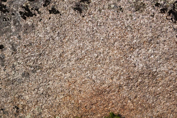 花岗岩岩原料质地与黑暗 Moss 的斑点 — 图库照片