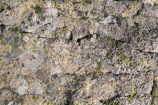 stock image Granite rock texture with cracks and white lichen formation