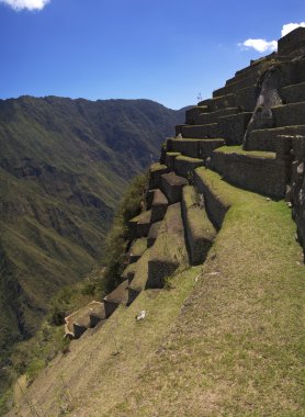 Machu Picchu terraces detail clipart