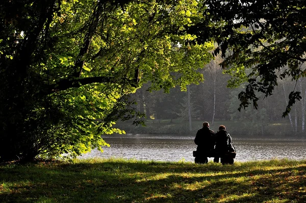 Шлюб Відпочиває Озері Парку Ліцензійні Стокові Фото