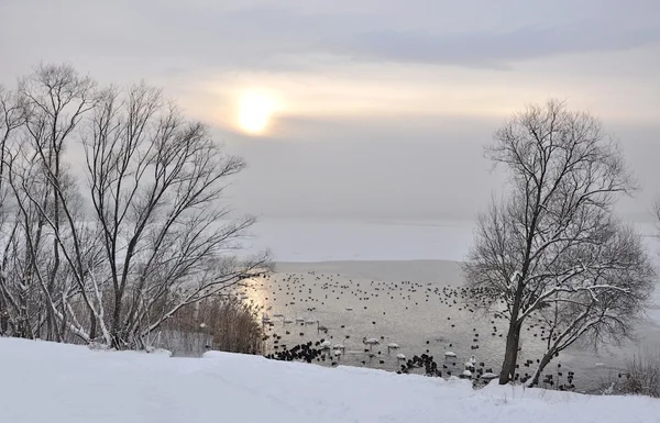 Winter Sunset Lake — Stock Photo, Image