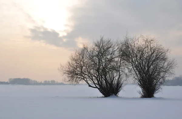 Inverno Frio Pôr Sol — Fotografia de Stock