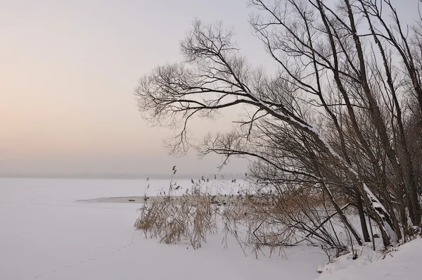 Lago de inverno — Fotografia de Stock