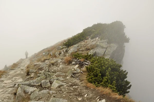 Niebla Sendero Turístico Las Montañas —  Fotos de Stock