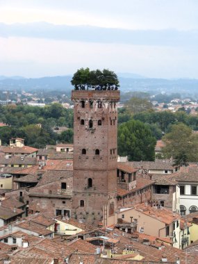 Aerial view of Guinigi Tower, Lucca city, Tuscany, Italy. clipart