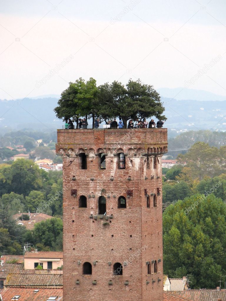 Guinigi tower in Lucca