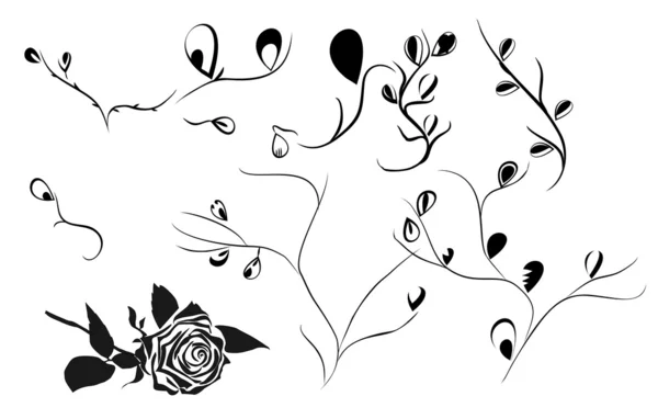 Grand Bouton Rose Illustration Vectorielle Abstraction — Image vectorielle