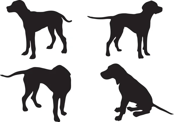Set Symbol Eines Hundes Zeiger Vektor — Stockvektor
