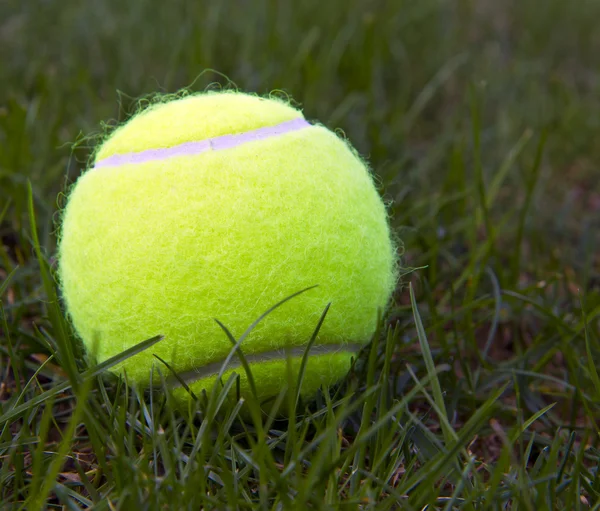 Μπάλα του τένις στο φυσικό χόρτο — Φωτογραφία Αρχείου