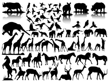 Vector silhouettes of wildlife clipart