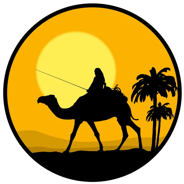 Kamel Tier Nutztier Beduine Nomade Afrika Wüste Sonnenuntergang Sonnenaufgang Palme — Stockvektor