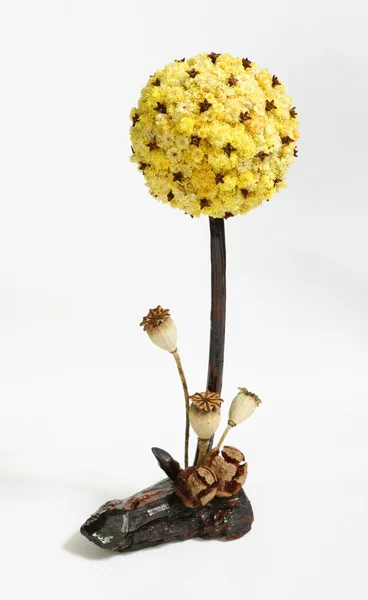 Torkade Blommor Sammansättning Isolerad Vit — Stockfoto