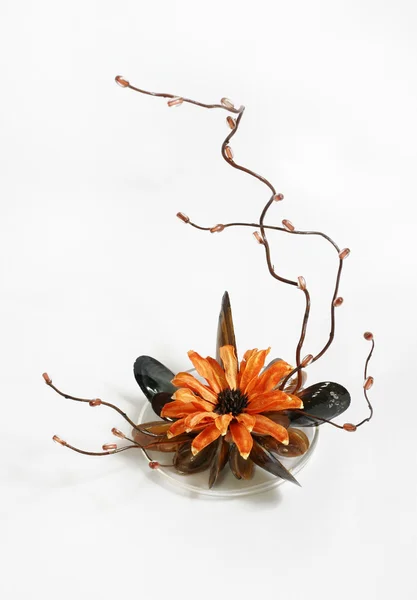 Dekorative Komposition Mit Orangefarbener Blüte Isoliert Auf Weiß — Stockfoto
