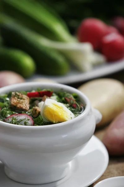 Russian Cold Vegetable Kefir Soup Eggs Greens Shallow — Stock Photo, Image