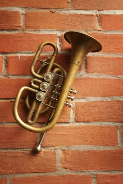 stock image Antiquarian horn