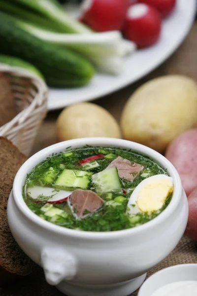 Sopa Iogurte Vegetal Fria Russa Com Ovos Verduras Raso Fotos De Bancos De Imagens Sem Royalties
