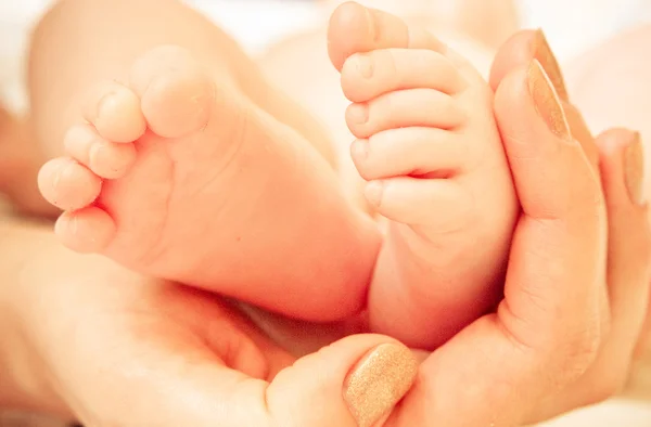 stock image A Baby Feet in Mothers Hand