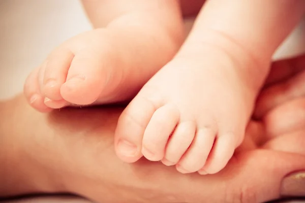 stock image A Baby Feet in Mothers Hand