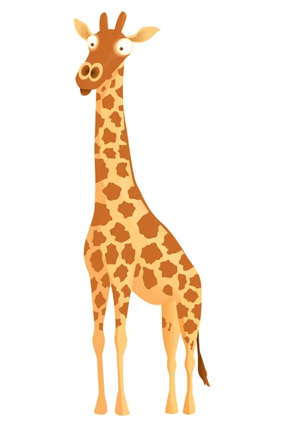 stock vector Vector giraffe