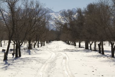 Kış manzarası kar, byroad ve dağlar