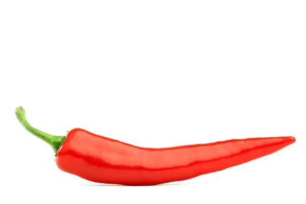 Pimenta Quente Vermelha Isolada Branco — Fotografia de Stock