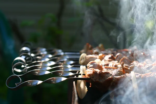 ホット シシカバブ串焼き — ストック写真