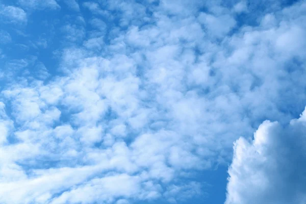 Blu sky — Stockfoto