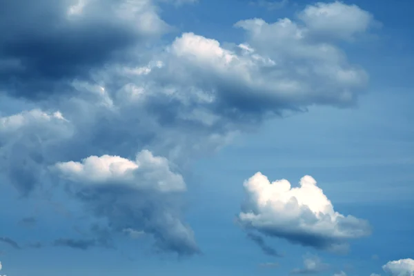 Blu gök — Stok fotoğraf