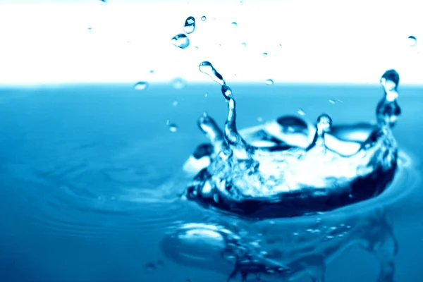 Niebieski Wody Powitalny Makra Bliska — Zdjęcie stockowe